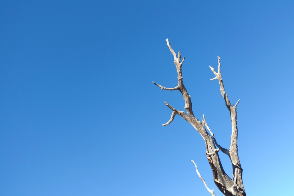 2018-03-03 02.14.05 1.jpg