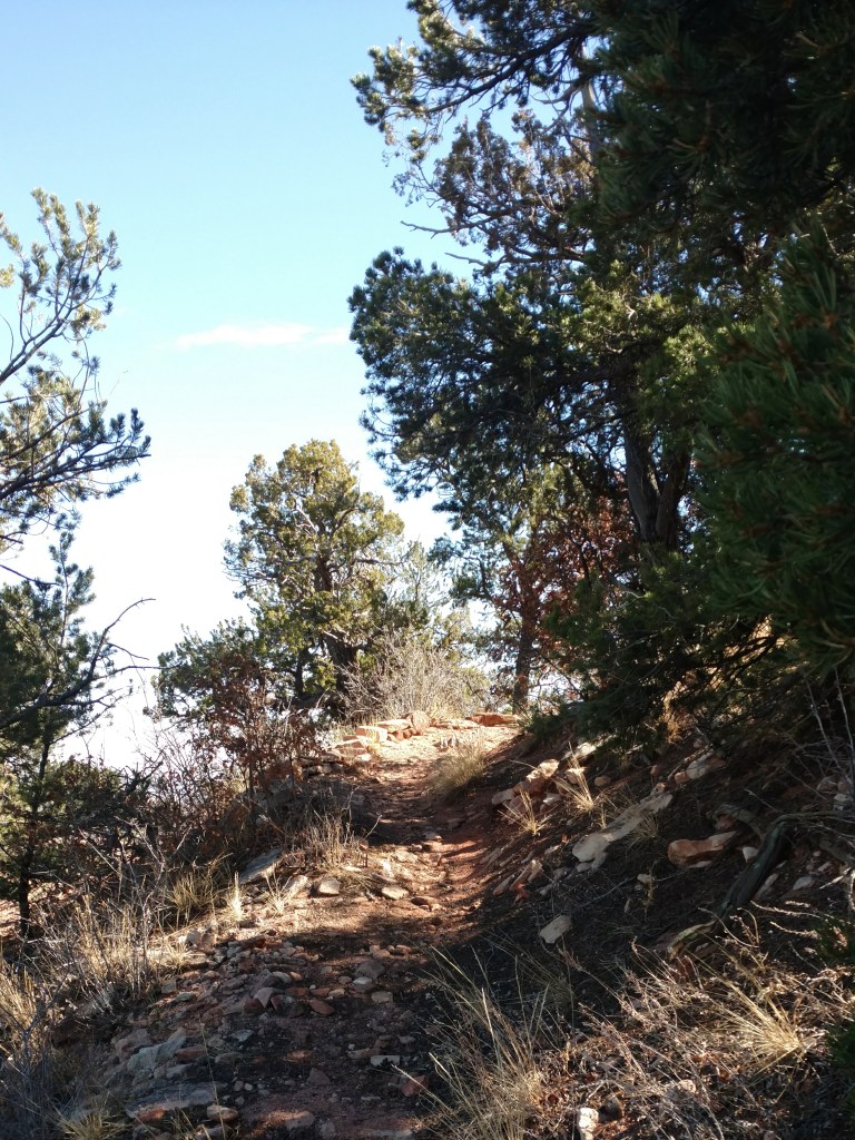 2018-03-19 08.59.20 1.jpg