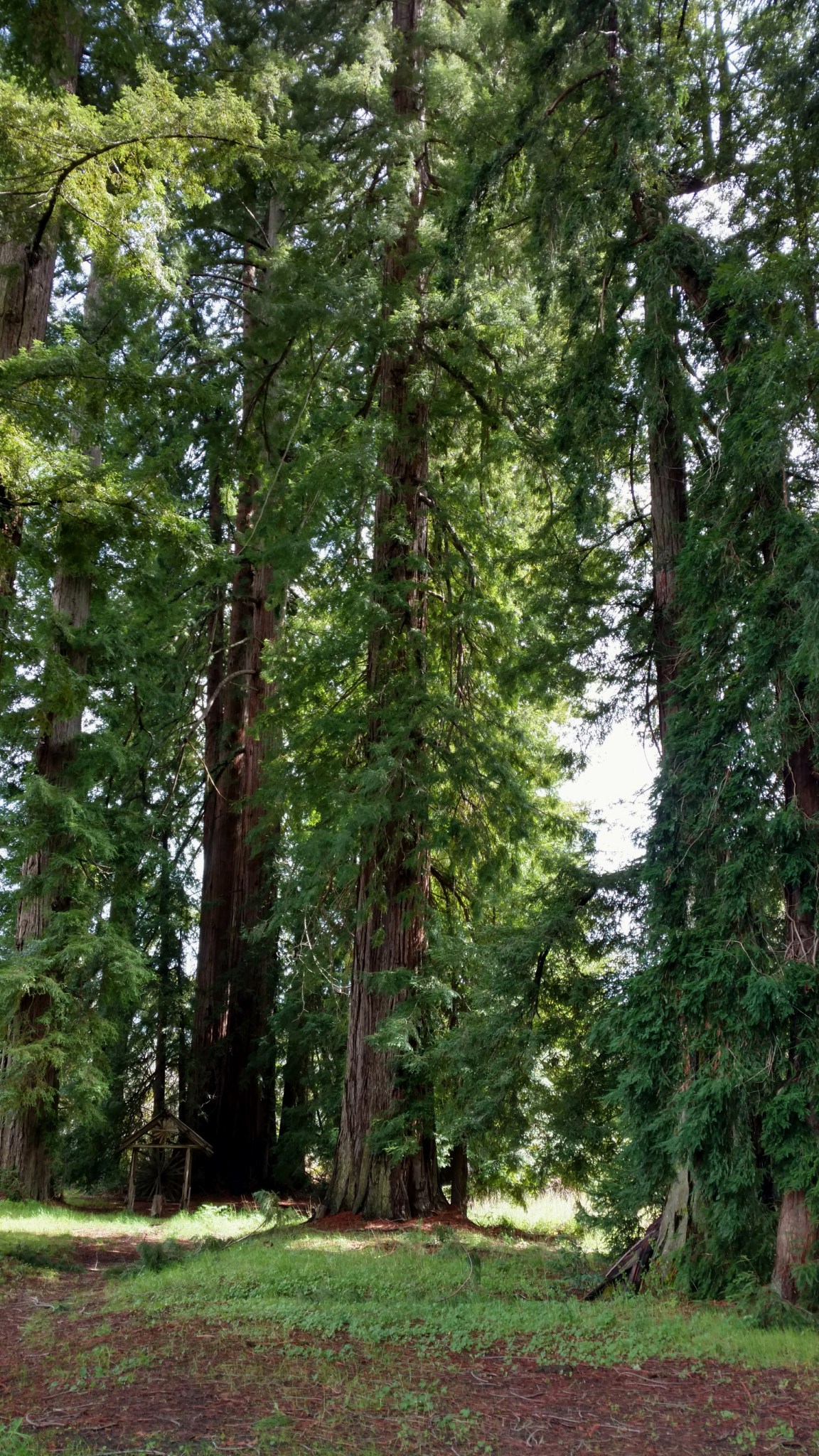 2018-03-31 11.10.31 1.jpg