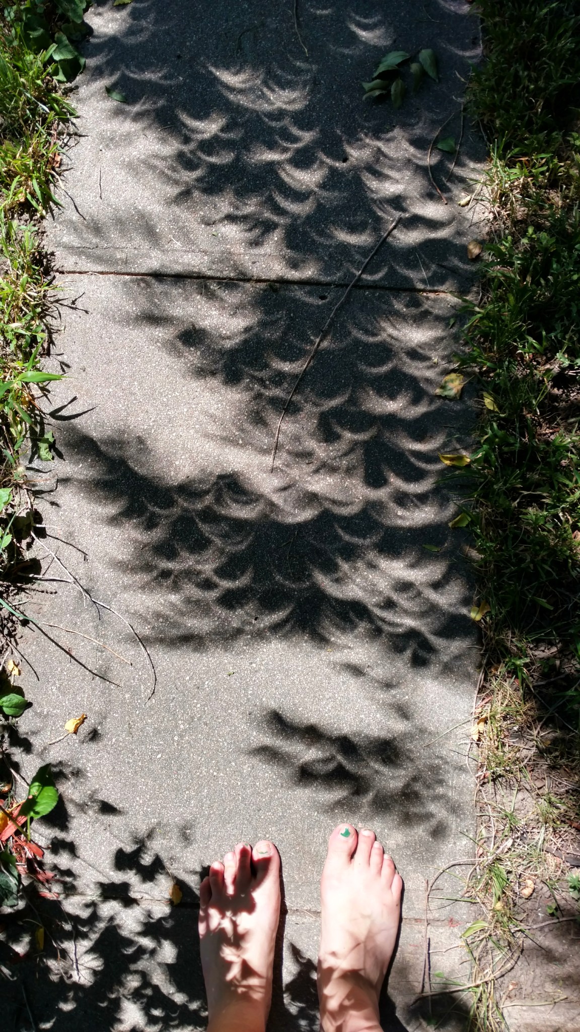 2017-08-21 12.27.28 1.jpg