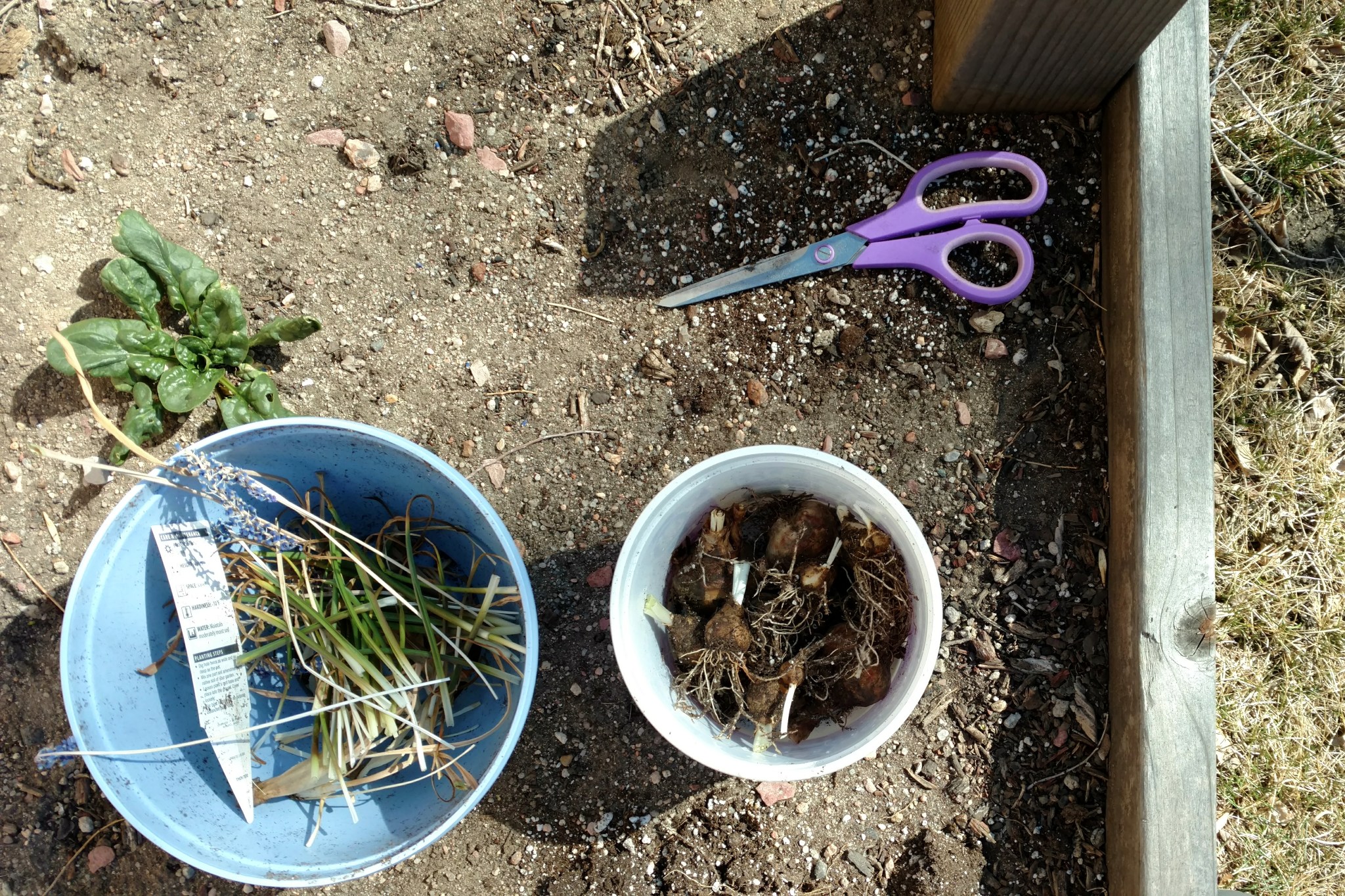 2018-04-20 01.43.03 1.jpg