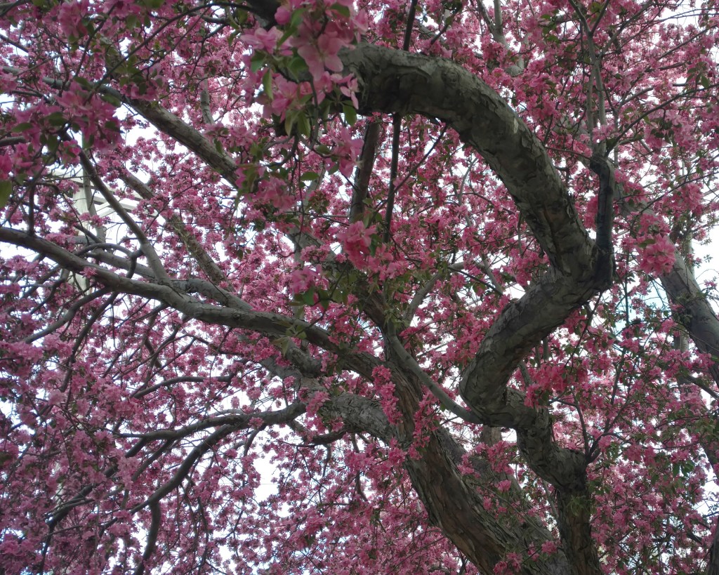 2018-04-30 01.39.12 1.jpg