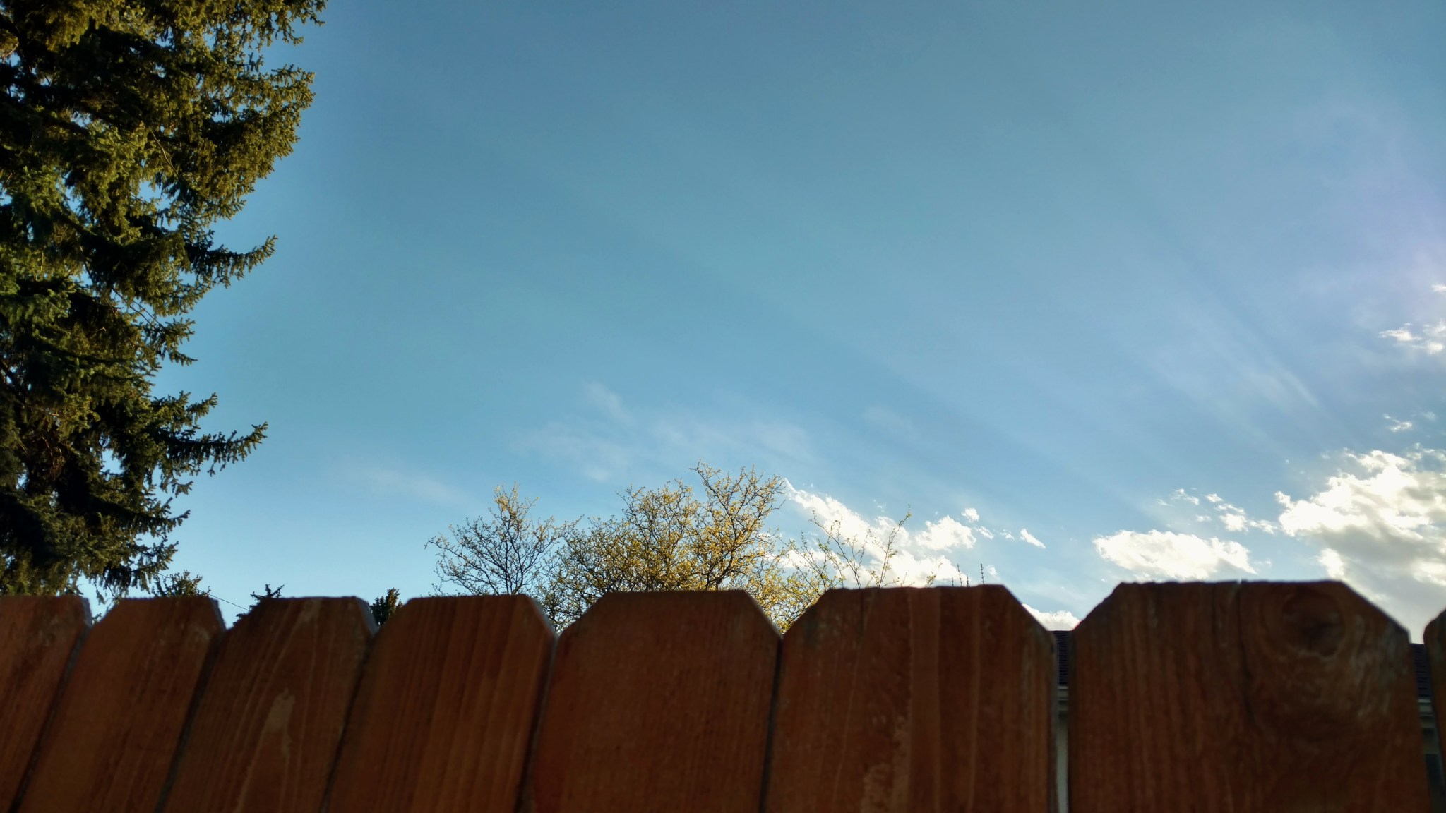 2018-05-08 10.04.33 1.jpg