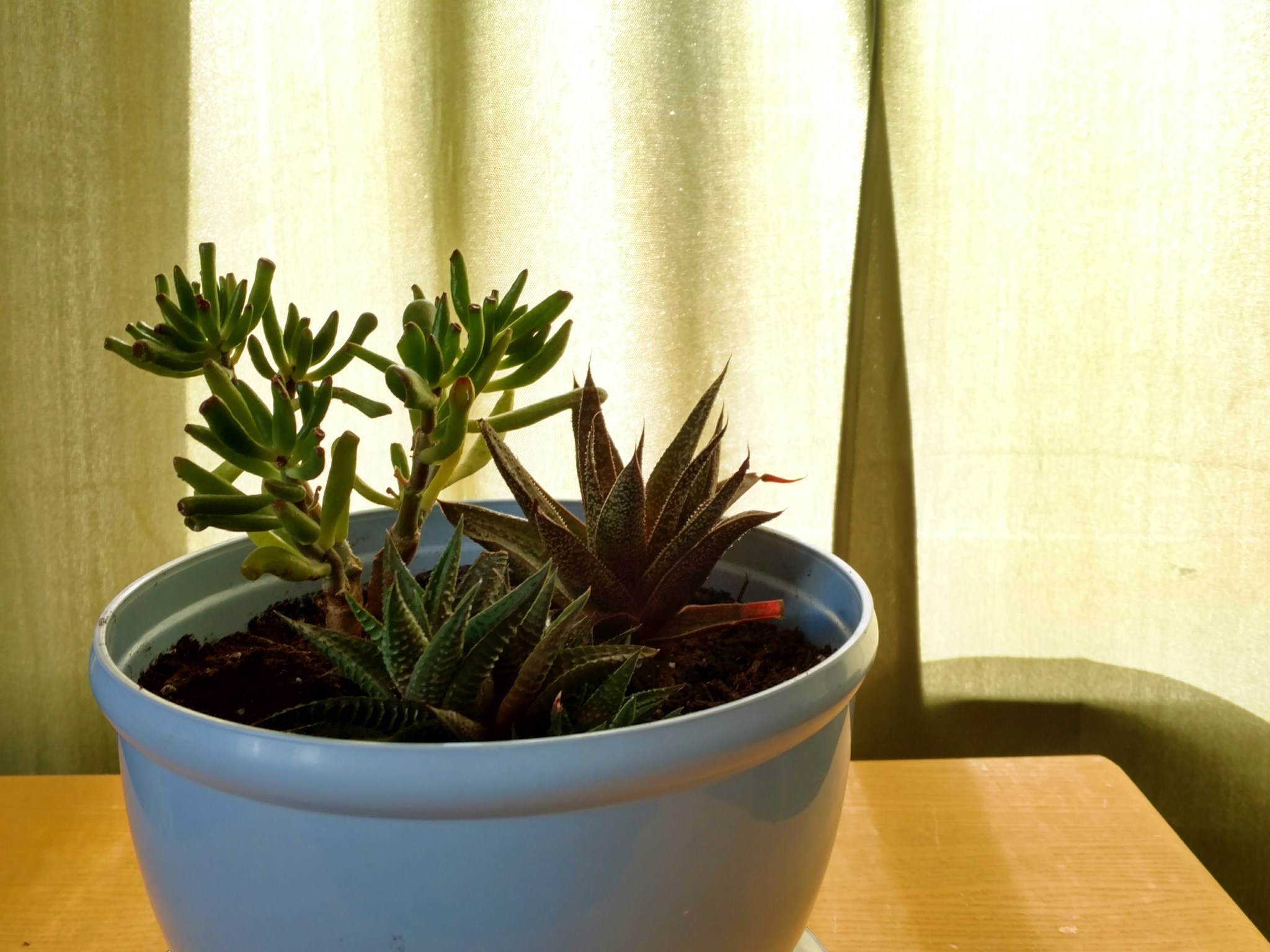 2018-05-10 08.44.03 1.jpg