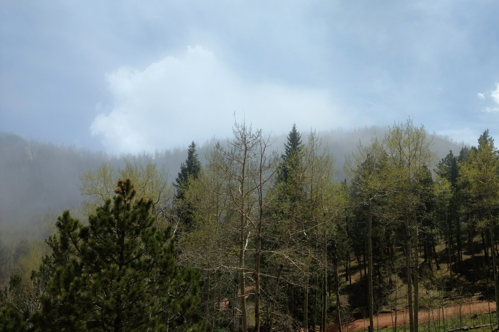 2018-05-20 02.12.12 1.jpg