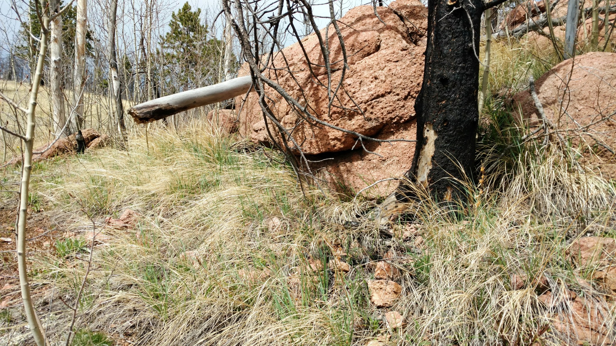 2018-05-25 08.04.34 1.jpg