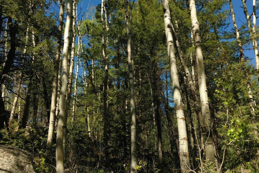 2018-06-01 11.03.48 1.jpg