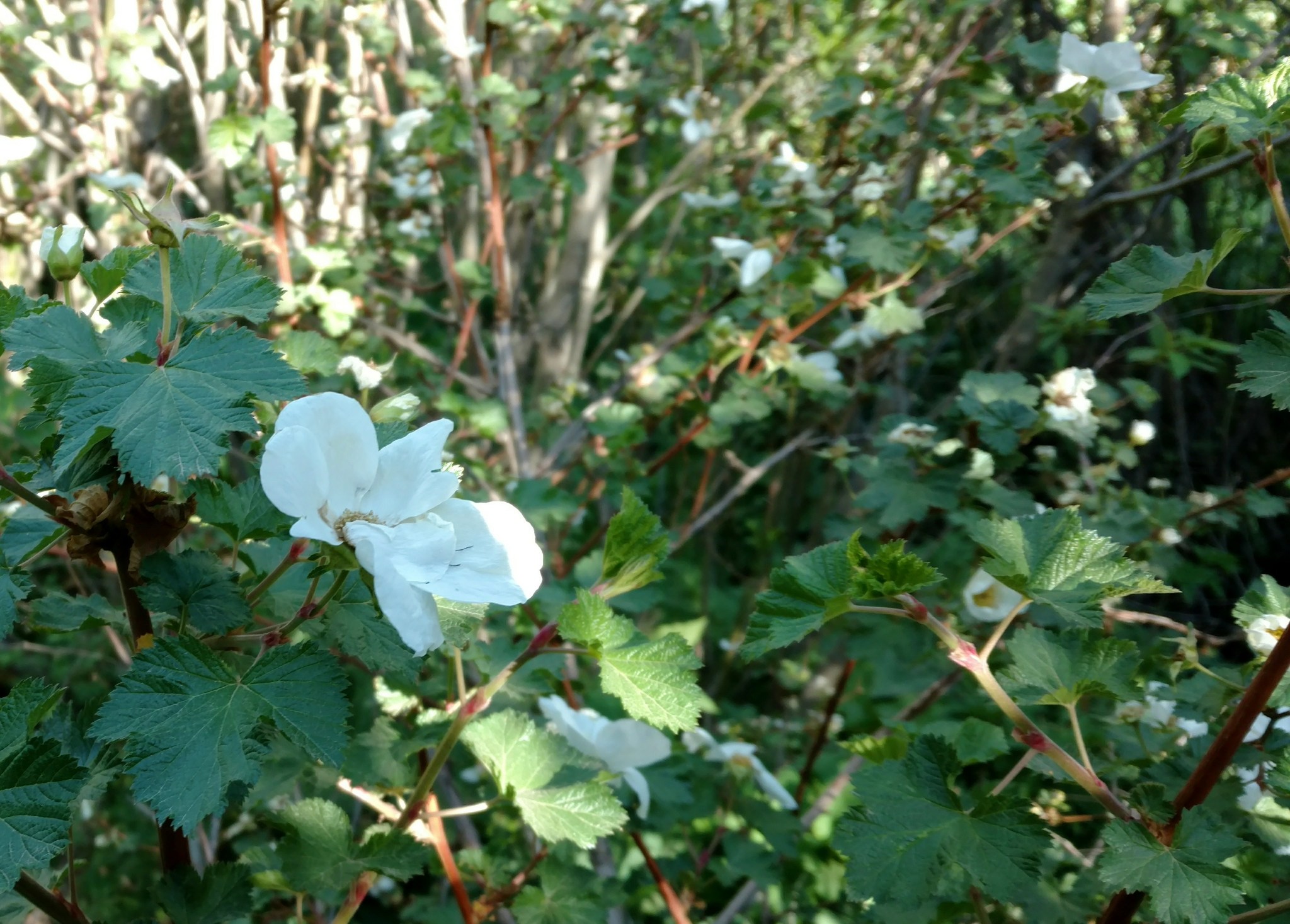 2018-06-25 02.55.28 1.jpg