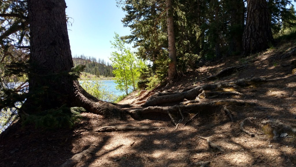 2018-06-01 11.03.53 1.jpg