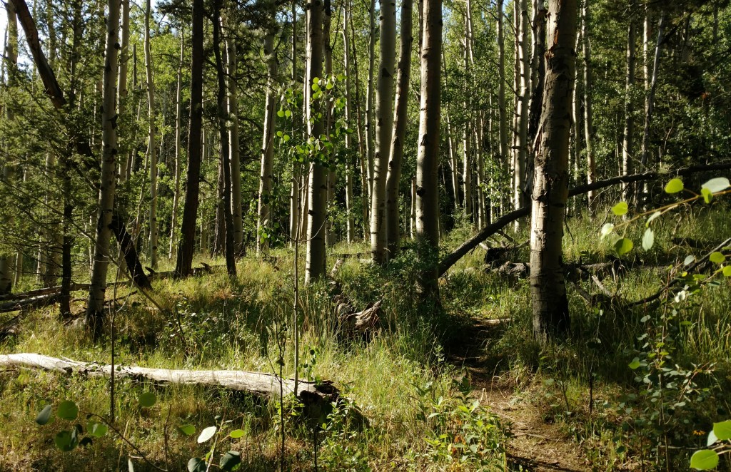 2018-07-16 10.28.29 1.jpg