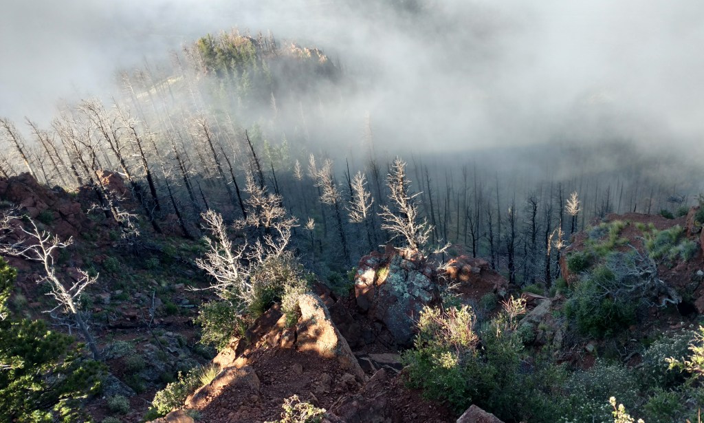 2018-07-25 11.33.27 1.jpg