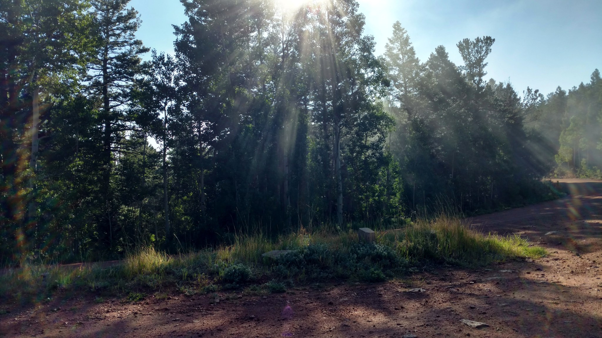 2018-07-25 11.35.47 1.jpg