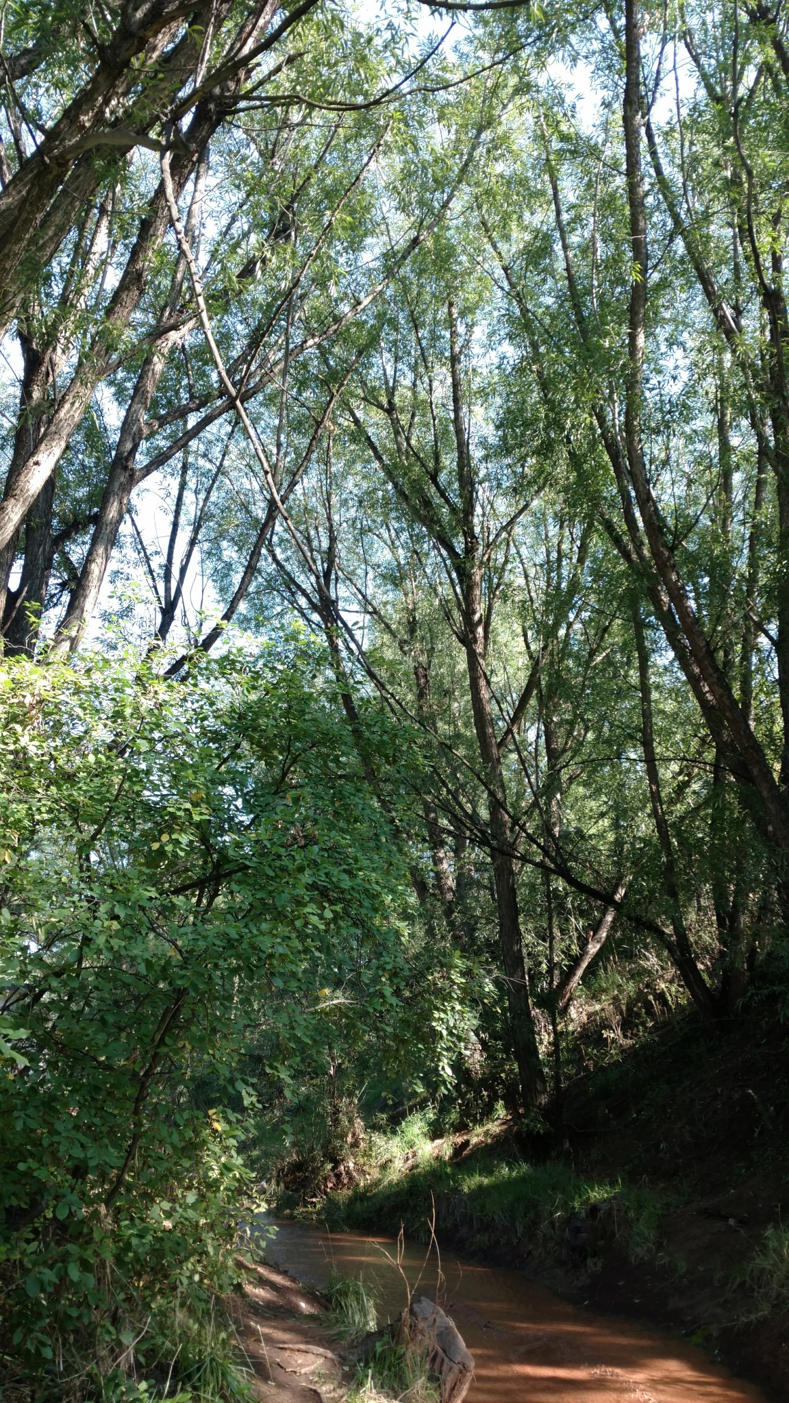 2018-08-14 06.57.59 1.jpg