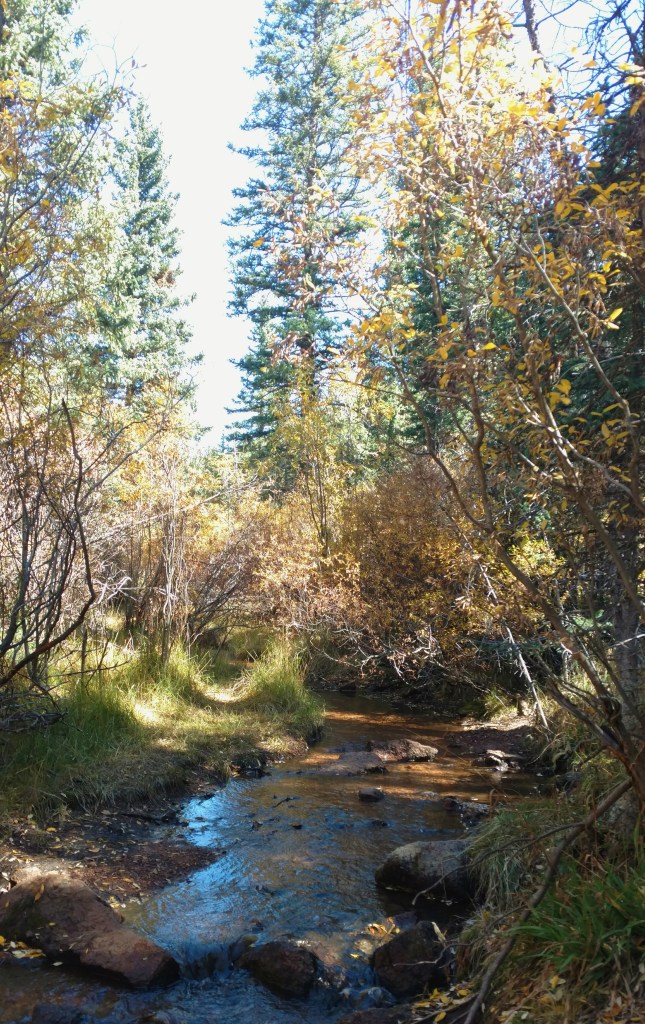 2018-09-23 02.03.18 1.jpg