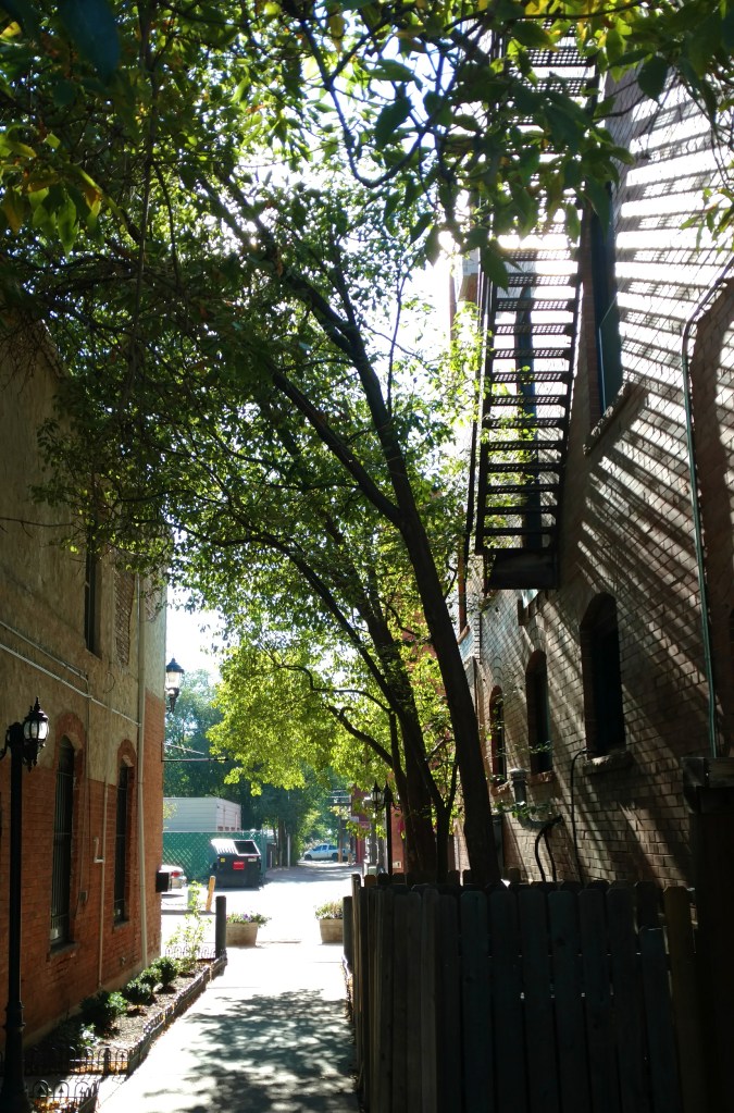 light, shadows, Old Colorado City, Colorado Springs, alleyway, alley, Henry Van Dyke, originality, Anselm Society