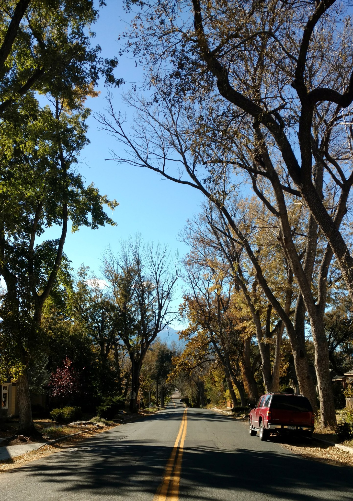 Colorado Springs, Colorado, Downtown, Pike's Peak, America's Mountain, Autumn, October, Leaves, fall colors
